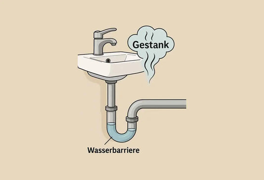 Abfluss stinkt: Ursachen verstehen, bevor es richtig schlecht riecht - Meisterfaktur
